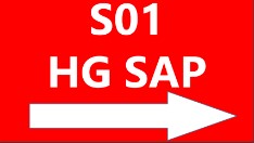 Panneau S01 HG SAP Panneau S01 HG