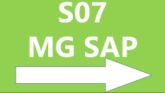 Panneau S07 MG SAP S07