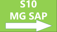 Panneau S10 MG SAP Panneau S10 MG SAP